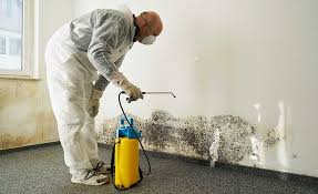 Best Commercial Mold Inspection  in USA